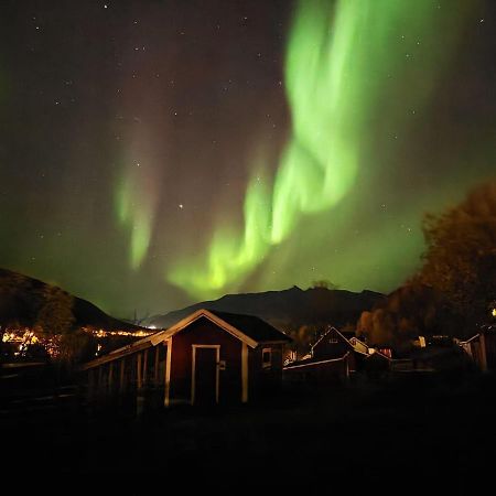 Koselig Dyregard I Tromso Hotell Eksteriør bilde