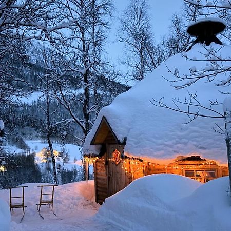 Koselig Dyregard I Tromso Hotell Eksteriør bilde
