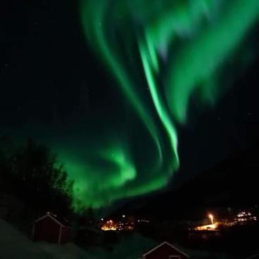 Koselig Dyregard I Tromso Hotell Eksteriør bilde