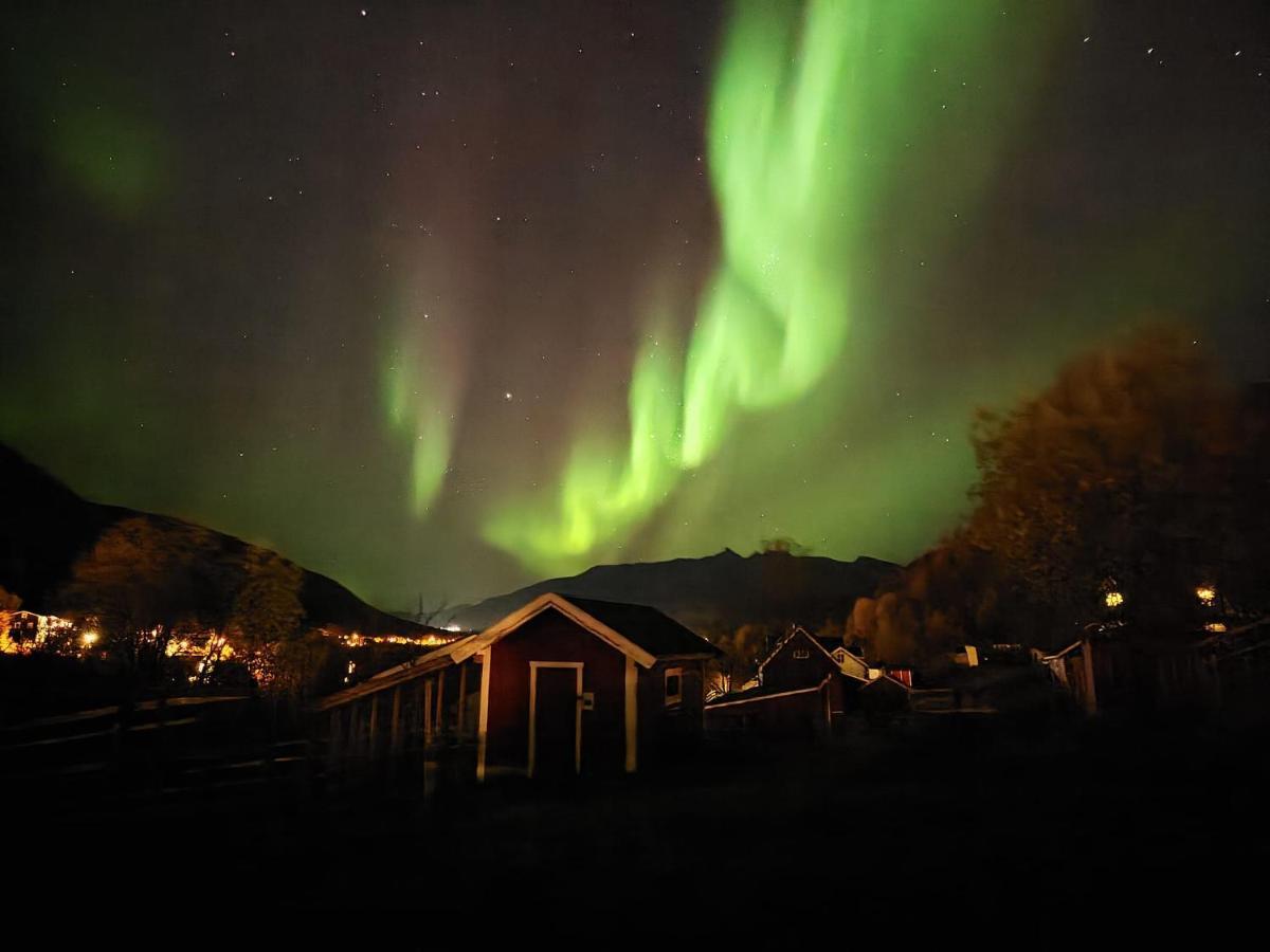 Koselig Dyregard I Tromso Hotell Eksteriør bilde